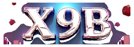 x9b logo